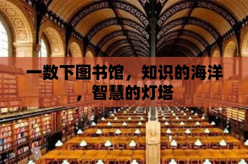 一數下圖書館，知識的海洋，智慧的燈塔