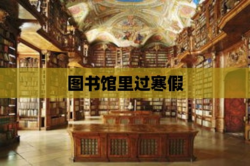 圖書館里過寒假