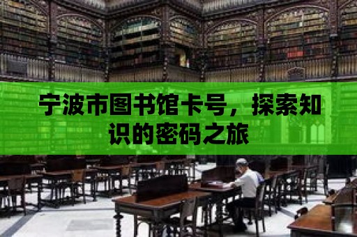 寧波市圖書館卡號，探索知識的密碼之旅