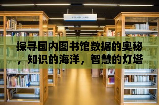 探尋國內圖書館數據的奧秘，知識的海洋，智慧的燈塔