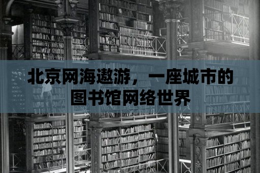 北京網海遨游，一座城市的圖書館網絡世界