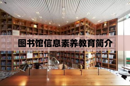 圖書館信息素養(yǎng)教育簡介