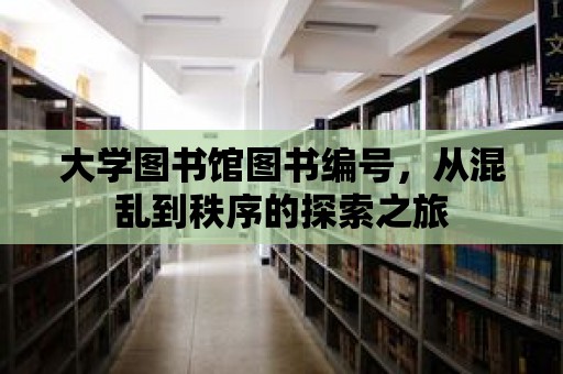 大學圖書館圖書編號，從混亂到秩序的探索之旅