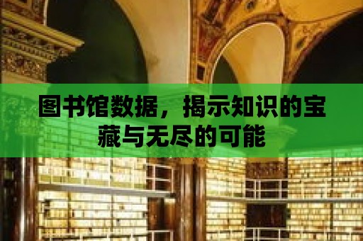 圖書館數(shù)據(jù)，揭示知識的寶藏與無盡的可能