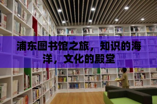 浦東圖書館之旅，知識的海洋，文化的殿堂