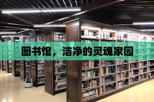 圖書館，潔凈的靈魂家園