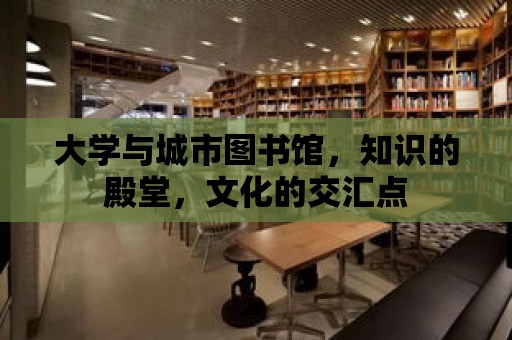 大學(xué)與城市圖書館，知識(shí)的殿堂，文化的交匯點(diǎn)