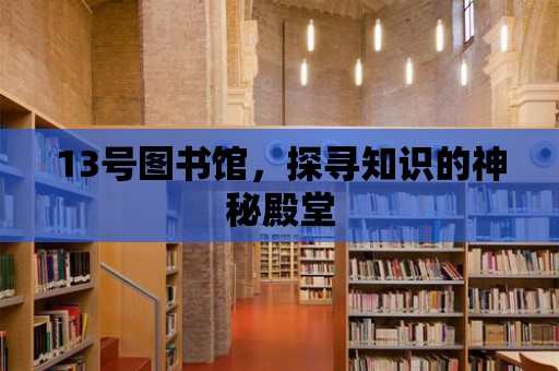 13號圖書館，探尋知識的神秘殿堂