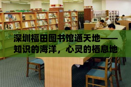 深圳福田圖書館通天地——知識(shí)的海洋，心靈的棲息地