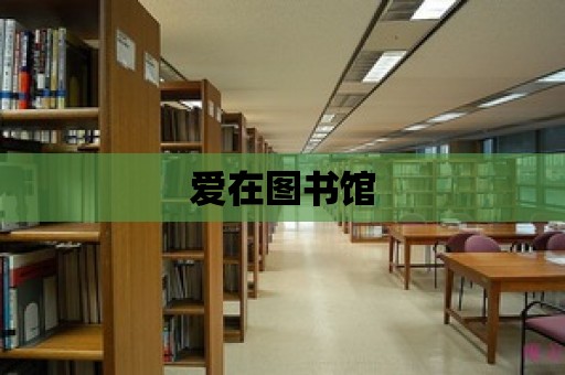 愛在圖書館