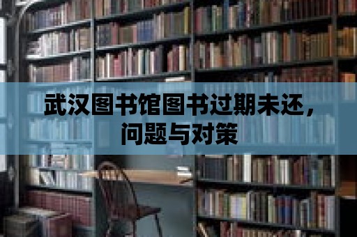 武漢圖書館圖書過期未還，問題與對(duì)策