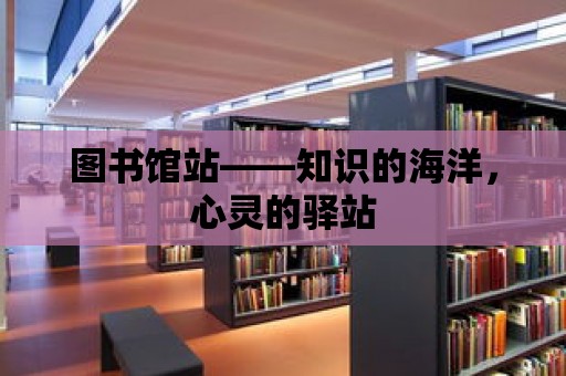 圖書館站——知識的海洋，心靈的驛站