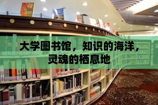 大學圖書館，知識的海洋，靈魂的棲息地