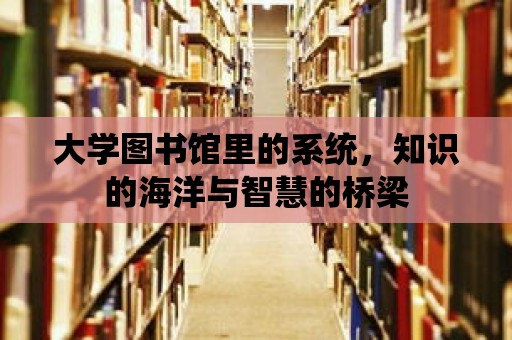 大學圖書館里的系統，知識的海洋與智慧的橋梁