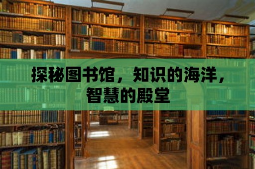 探秘圖書館，知識(shí)的海洋，智慧的殿堂