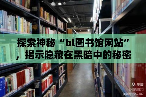 探索神秘“bl圖書館網站”，揭示隱藏在黑暗中的秘密世界