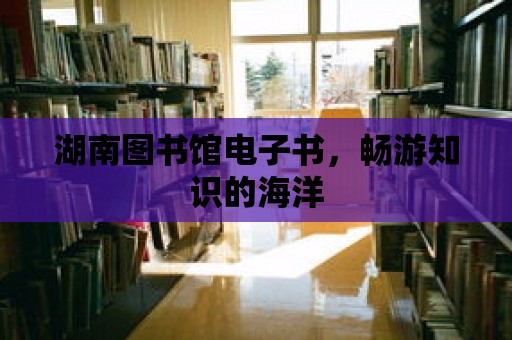 湖南圖書館電子書，暢游知識的海洋