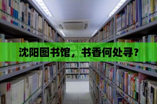 沈陽圖書館，書香何處尋？