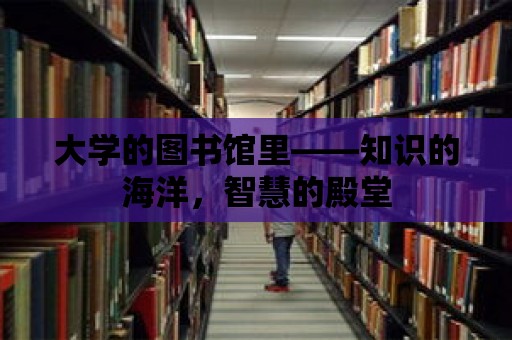 大學(xué)的圖書館里——知識(shí)的海洋，智慧的殿堂