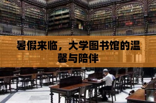 暑假來臨，大學圖書館的溫馨與陪伴