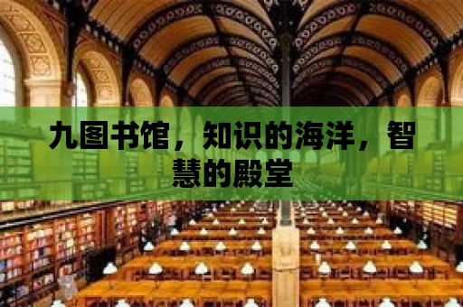 九圖書館，知識的海洋，智慧的殿堂