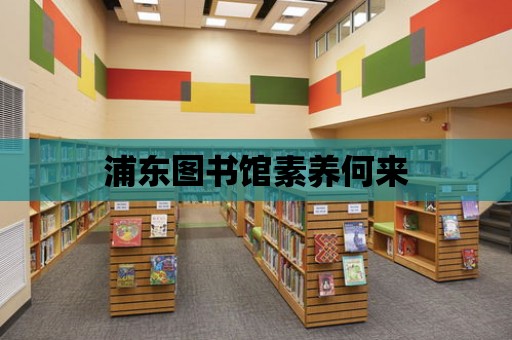 浦東圖書館素養何來