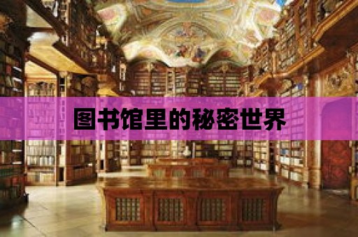 圖書館里的秘密世界