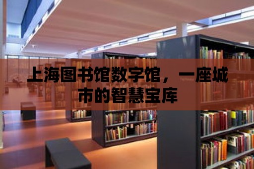 上海圖書館數(shù)字館，一座城市的智慧寶庫