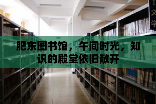 肥東圖書館，午間時光，知識的殿堂依舊敞開