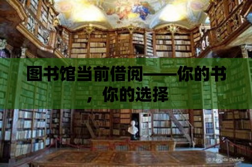 圖書館當前借閱——你的書，你的選擇