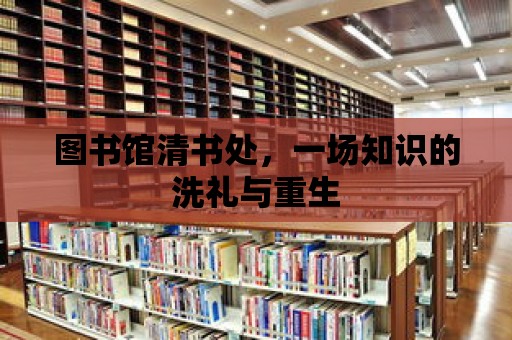 圖書館清書處，一場知識(shí)的洗禮與重生