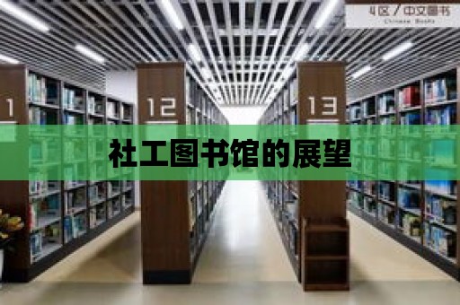 社工圖書館的展望