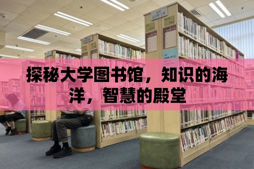 探秘大學圖書館，知識的海洋，智慧的殿堂