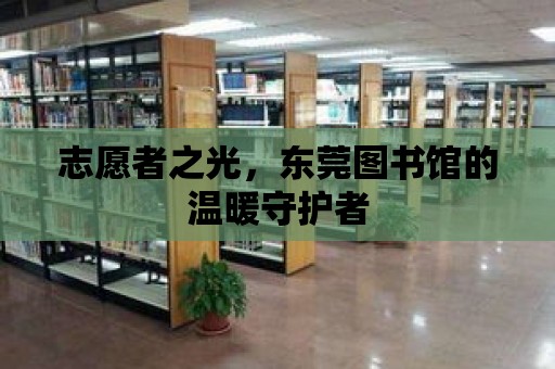 志愿者之光，東莞圖書館的溫暖守護(hù)者