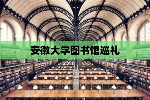 安徽大學(xué)圖書館巡禮