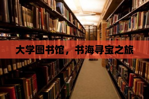 大學圖書館，書海尋寶之旅