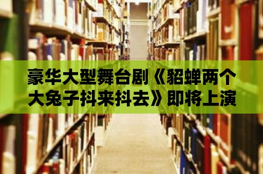 豪華大型舞臺劇《貂蟬兩個大兔子抖來抖去》即將上演