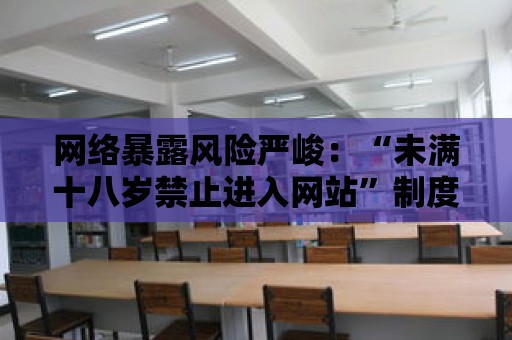 網絡暴露風險嚴峻：“未滿十八歲禁止進入網站”制度的必要性