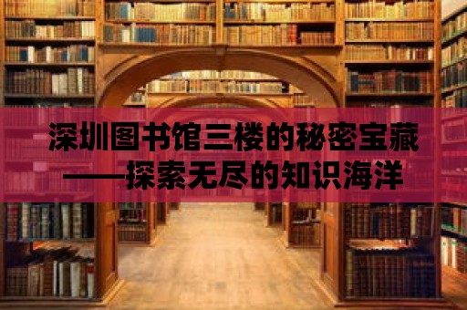 深圳圖書館三樓的秘密寶藏——探索無盡的知識海洋