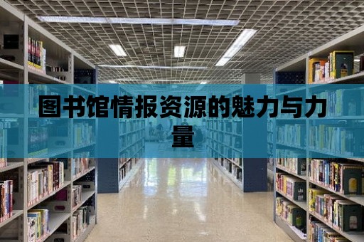 圖書館情報資源的魅力與力量