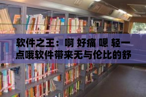 軟件之王：啊 好痛 嗯 輕一點哦軟件帶來無與倫比的舒適感受！