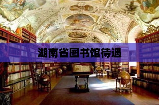 湖南省圖書館待遇