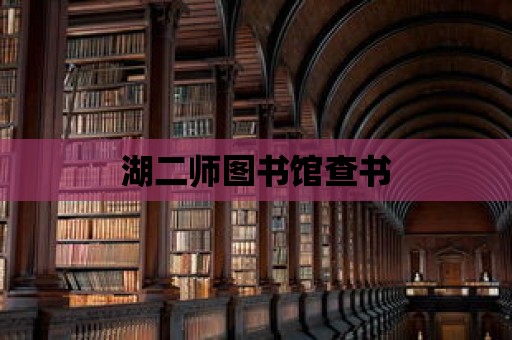 湖二師圖書館查書