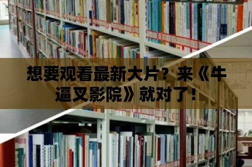 想要觀看最新大片？來《牛逼叉影院》就對了！