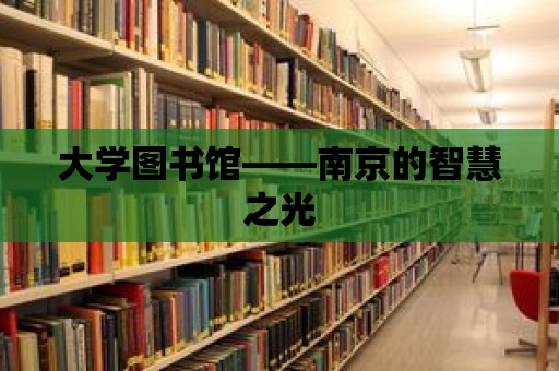 大學圖書館——南京的智慧之光