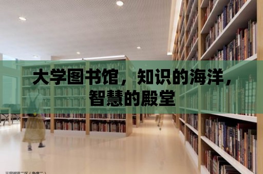 大學圖書館，知識的海洋，智慧的殿堂