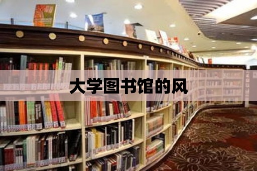 大學圖書館的風