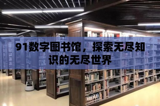 91數字圖書館，探索無盡知識的無盡世界