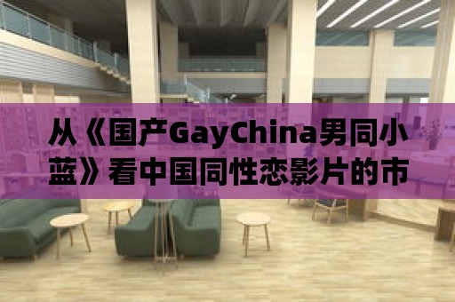 從《國產(chǎn)GayChina男同小藍》看中國同性戀影片的市場前景