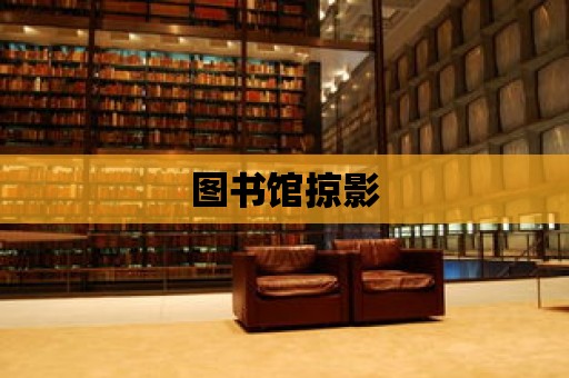 圖書館掠影